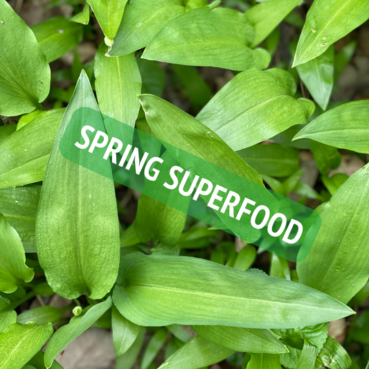 Spring Superfood - Vegan Wild Garlic Pesto